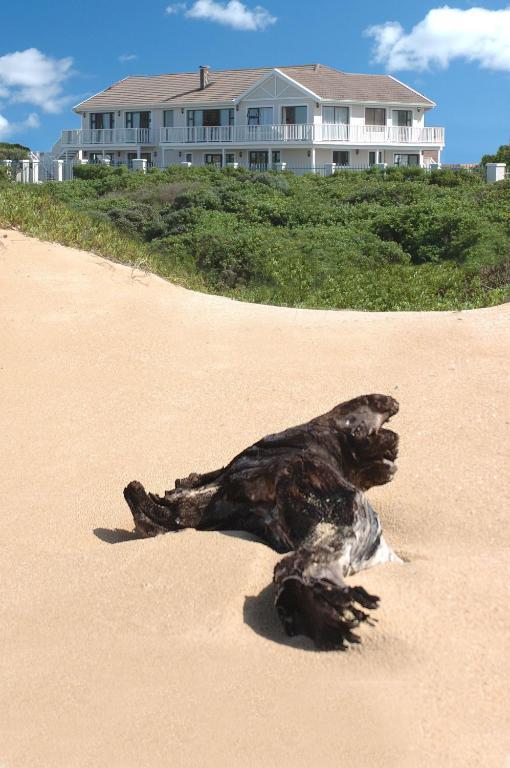 The Beach House Port Alfred Esterno foto
